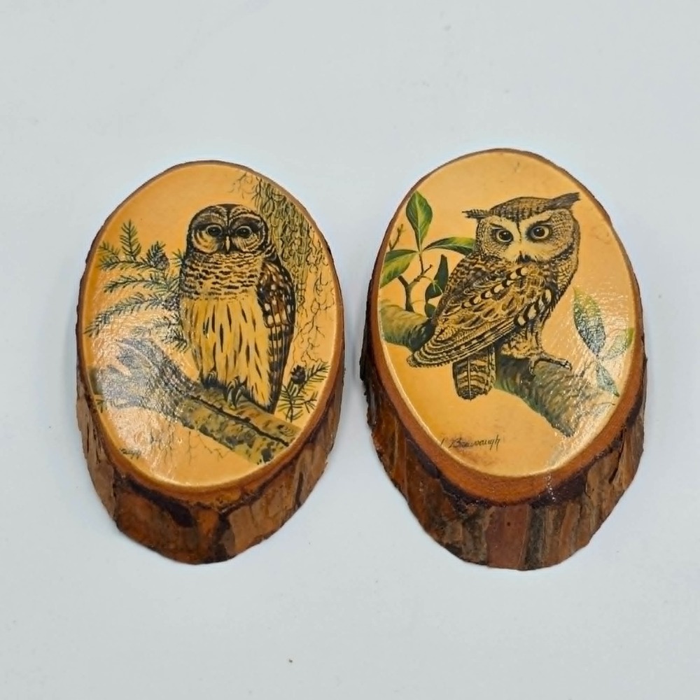 Owl On Wood Slice Live Edge Decoupage Art Wall Hanging Plaque Vintage Set of 2